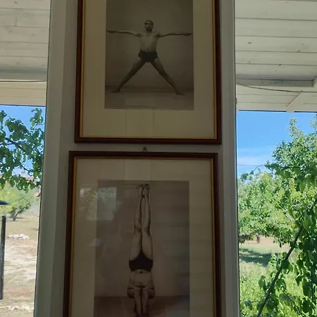 Dom wakacyjny Sole E Cerase - Vacay In Apulia *